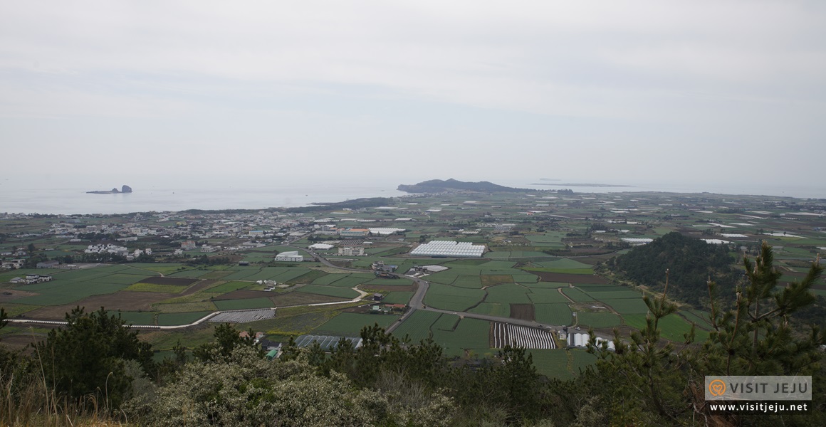 단산