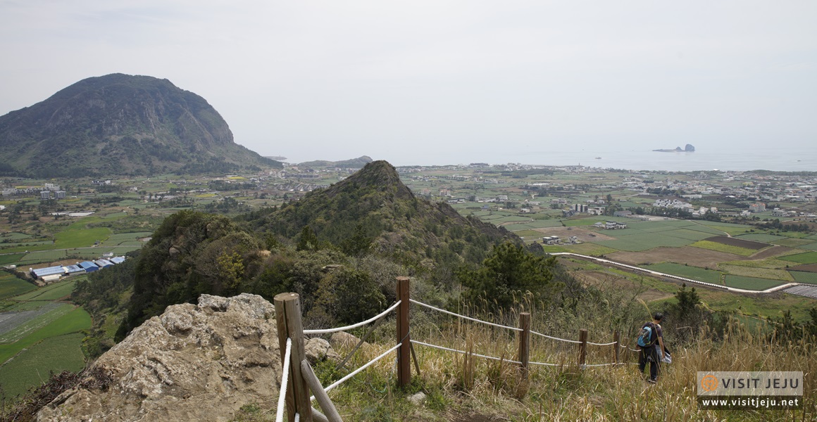 단산