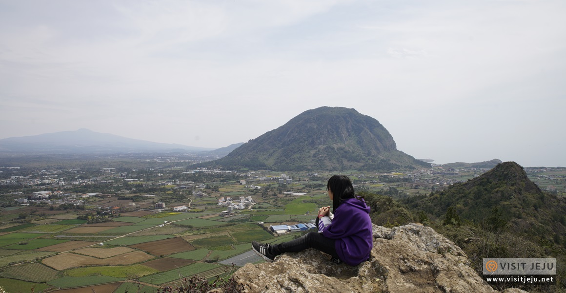 단산