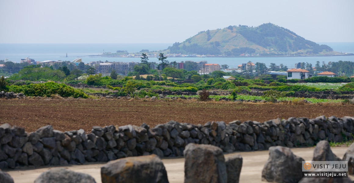 한림 동명리