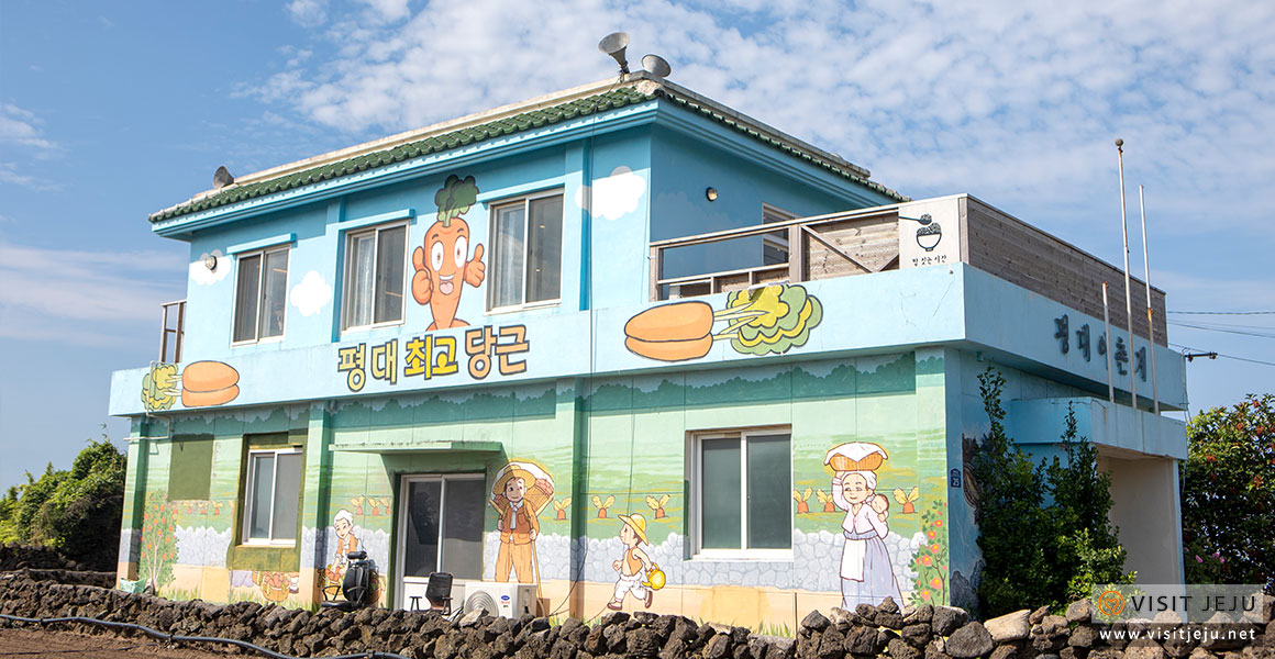 마을참견_평대리