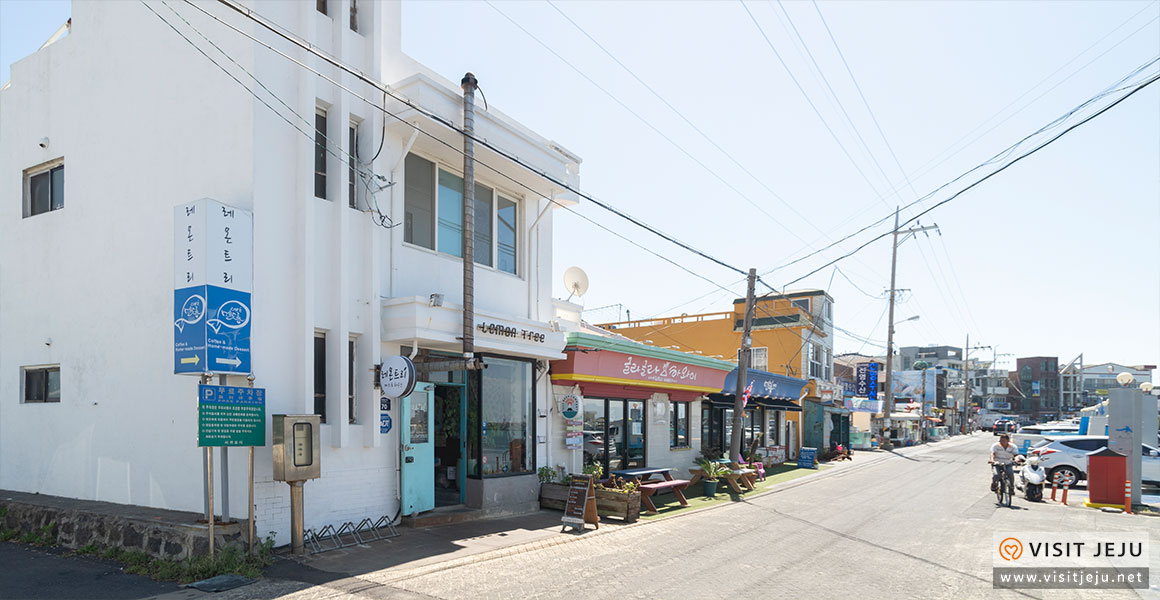 마을참견대정