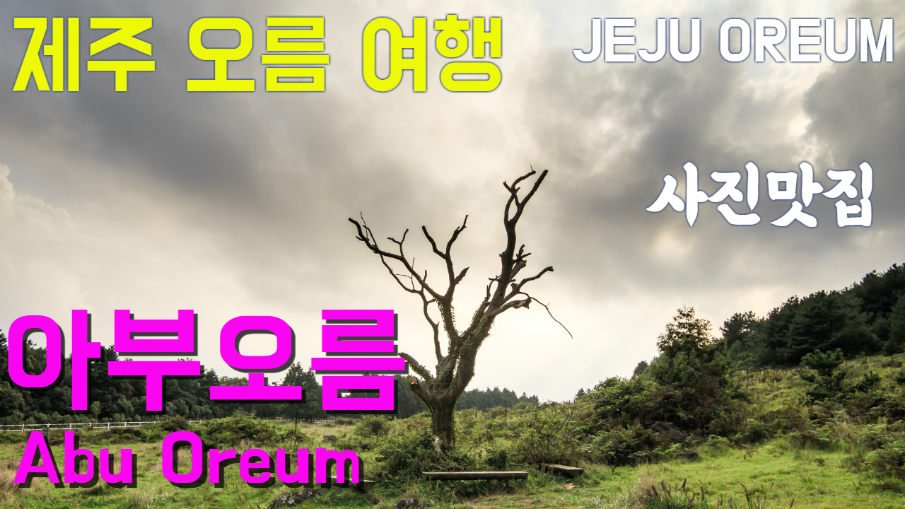 이미지설명