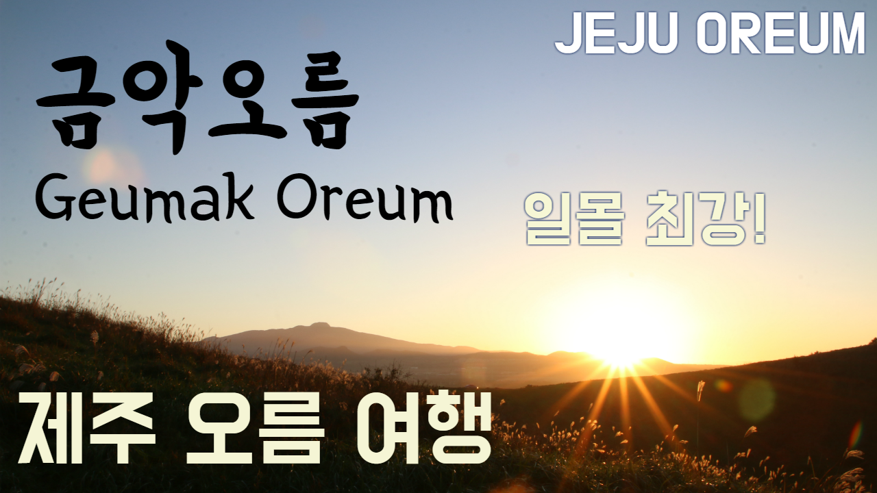 이미지설명