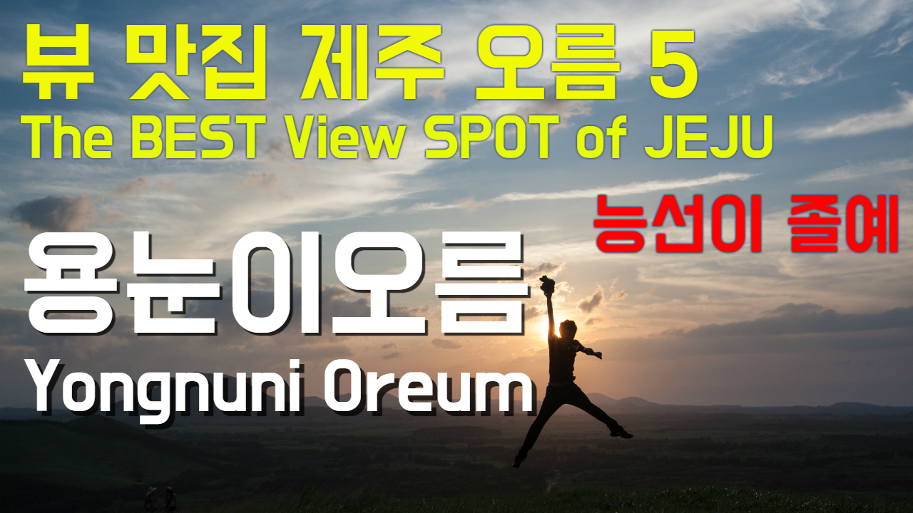 이미지설명