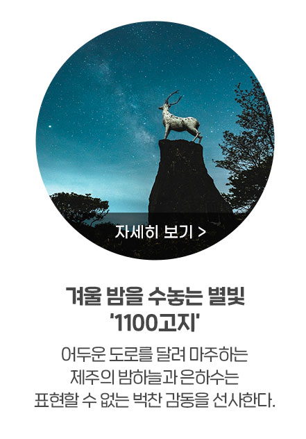 겨울 밤을 수놓는 별빛 ‘1100고지’, 어두운 도로를 달려 마주하는 제주의 밤하늘과 은하수는 표현할 수 없는 벅찬 감동을 선사한다.