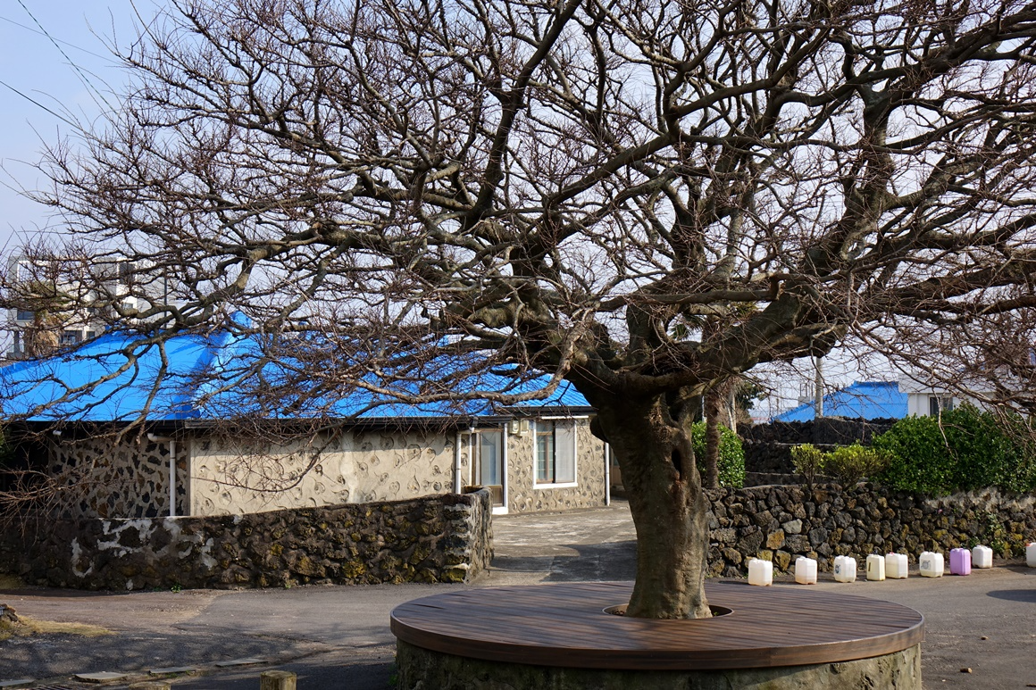 K-드라마 촬영지 <웰컴투 삼달리> 이미지 8