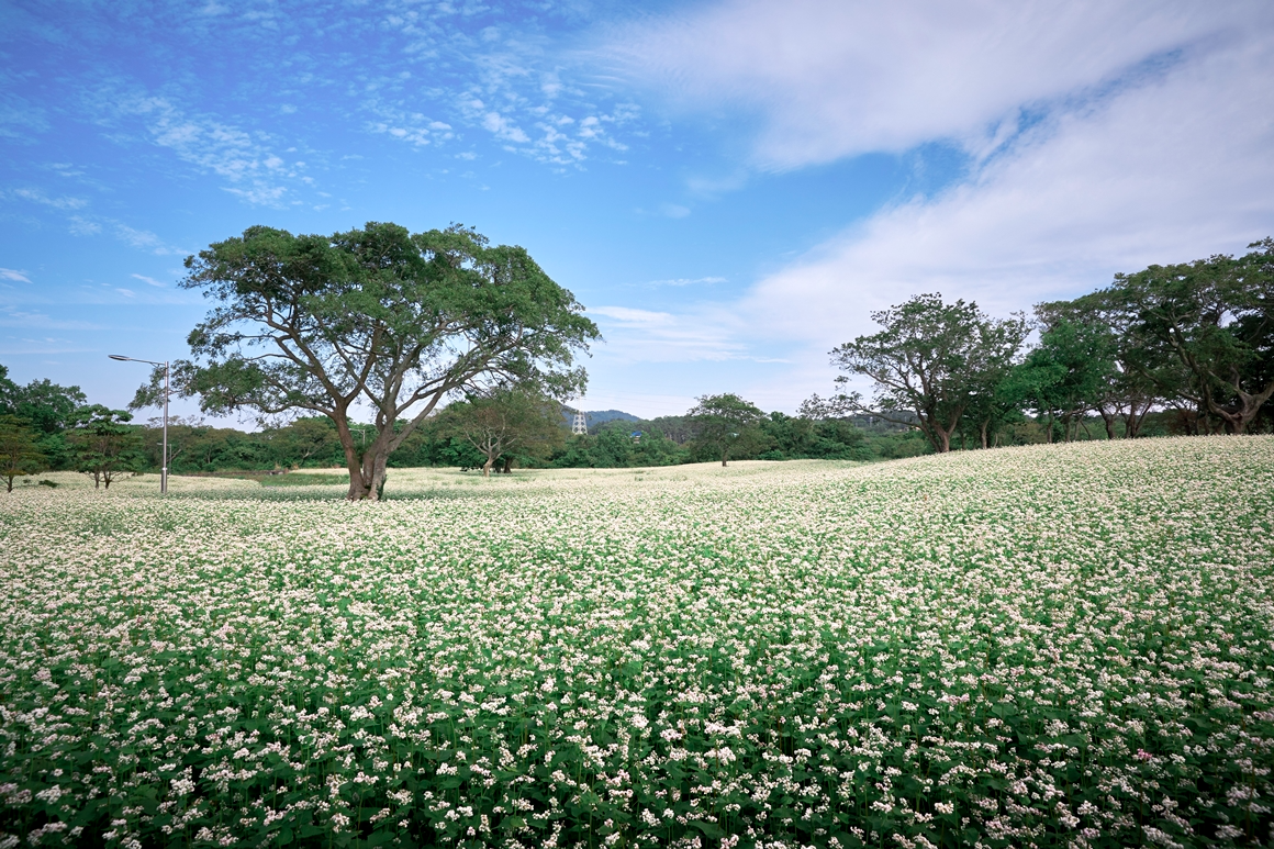 K-드라마 촬영지 <웰컴투 삼달리> 이미지 17
