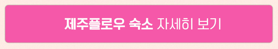 제주플로우 숙소 자세히 보기
