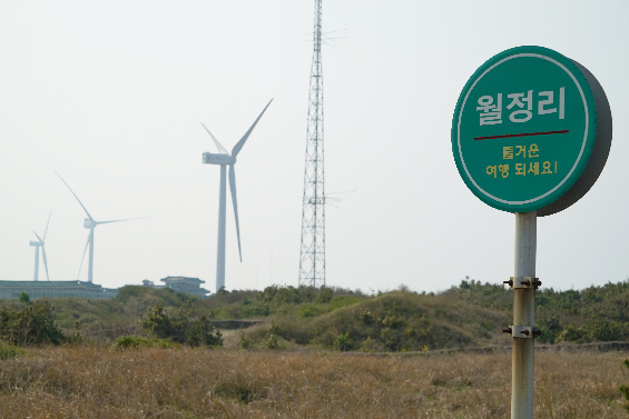 월정리해변 2019 사진이미지 7